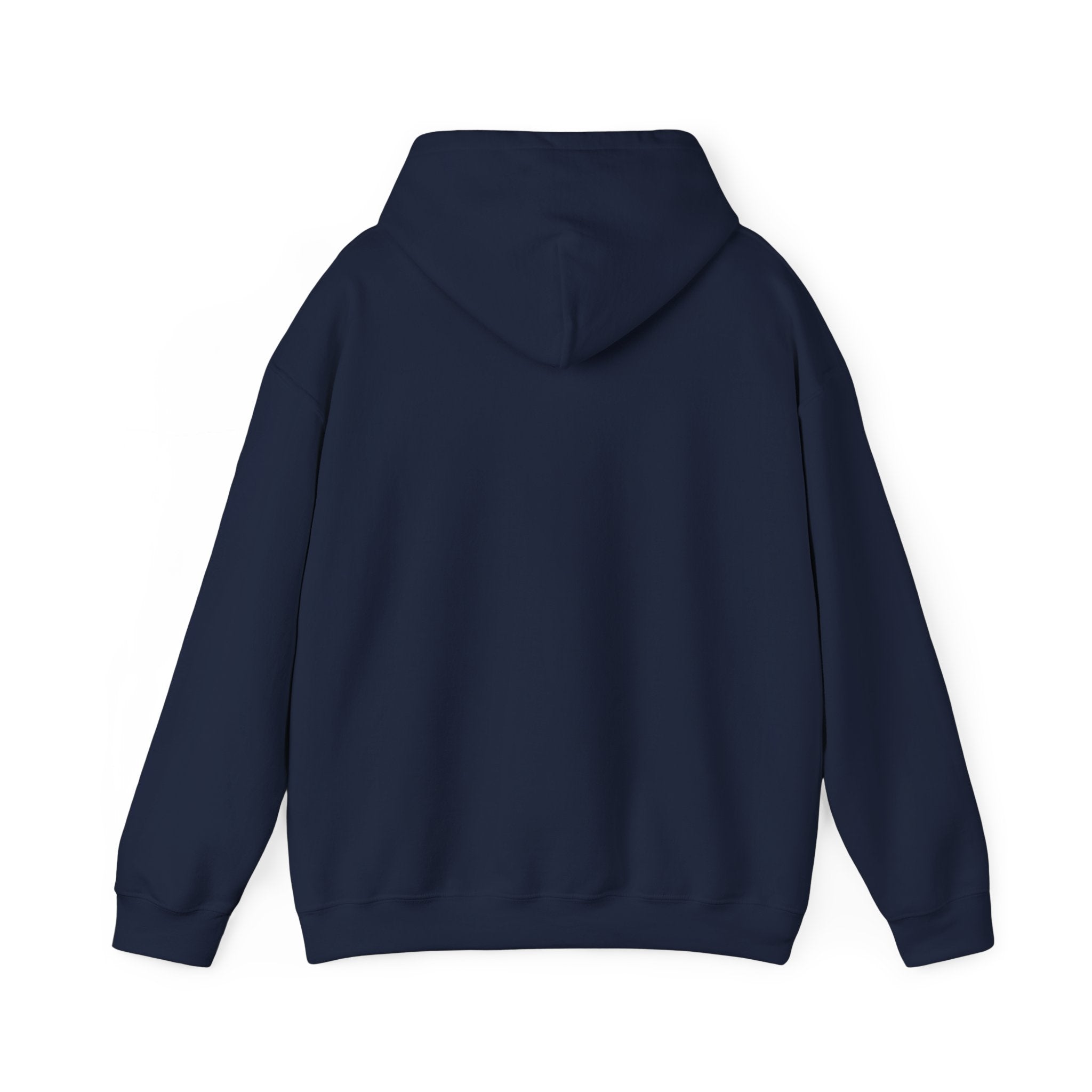 Certified Silly Goose Hoodie | silly humor, wholesome meme