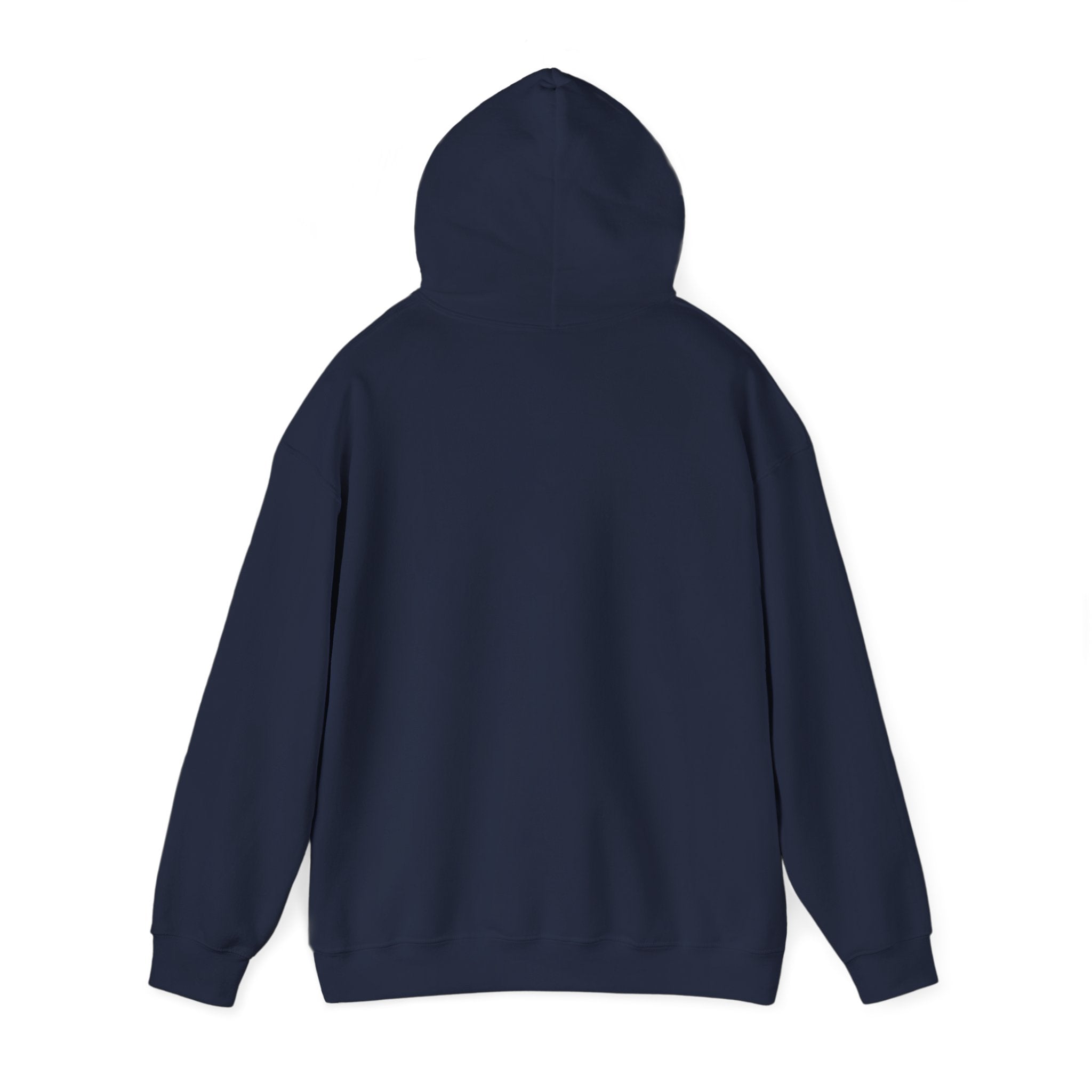 Certified Silly Goose Hoodie | silly humor, wholesome meme