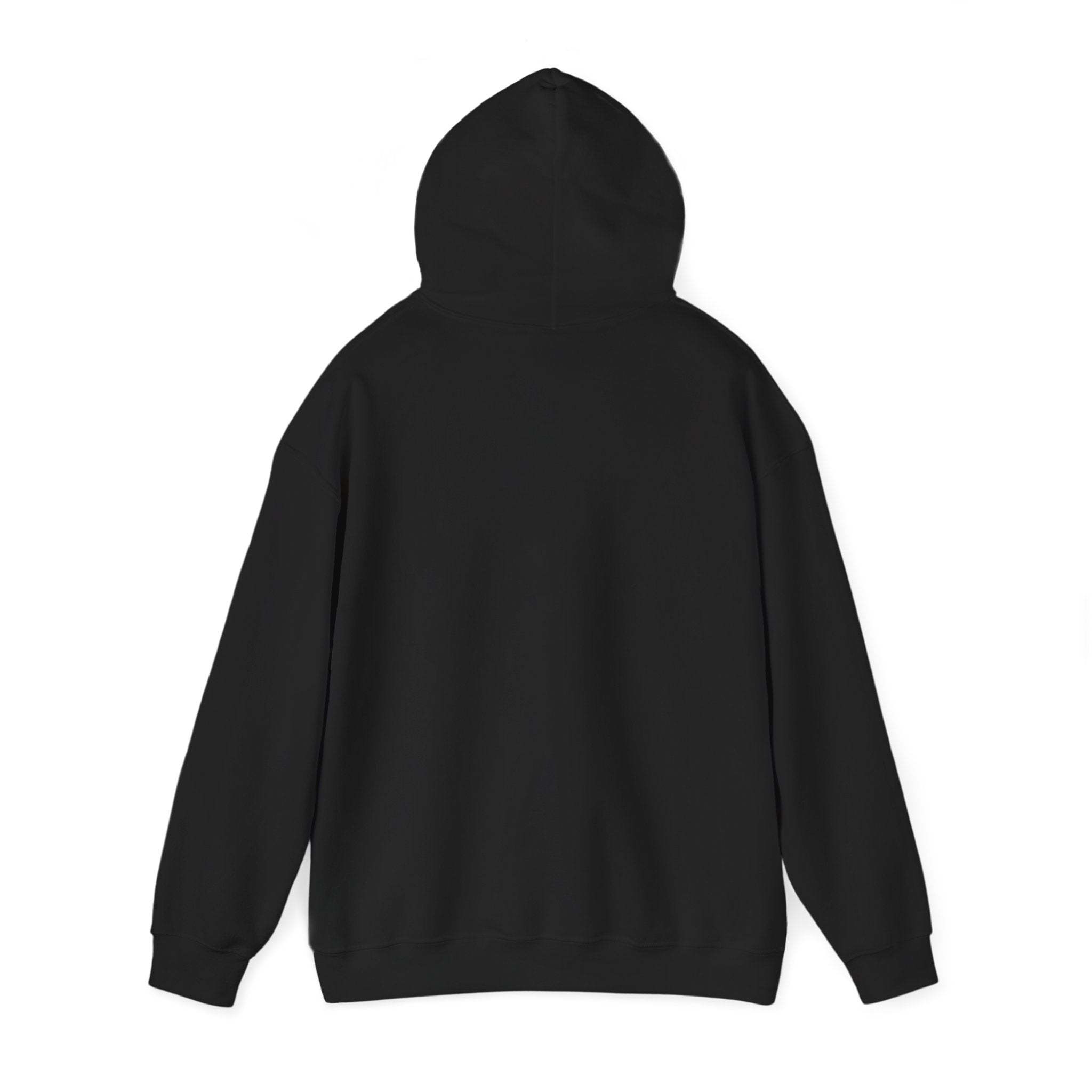 Certified Silly Goose Hoodie | silly humor, wholesome meme