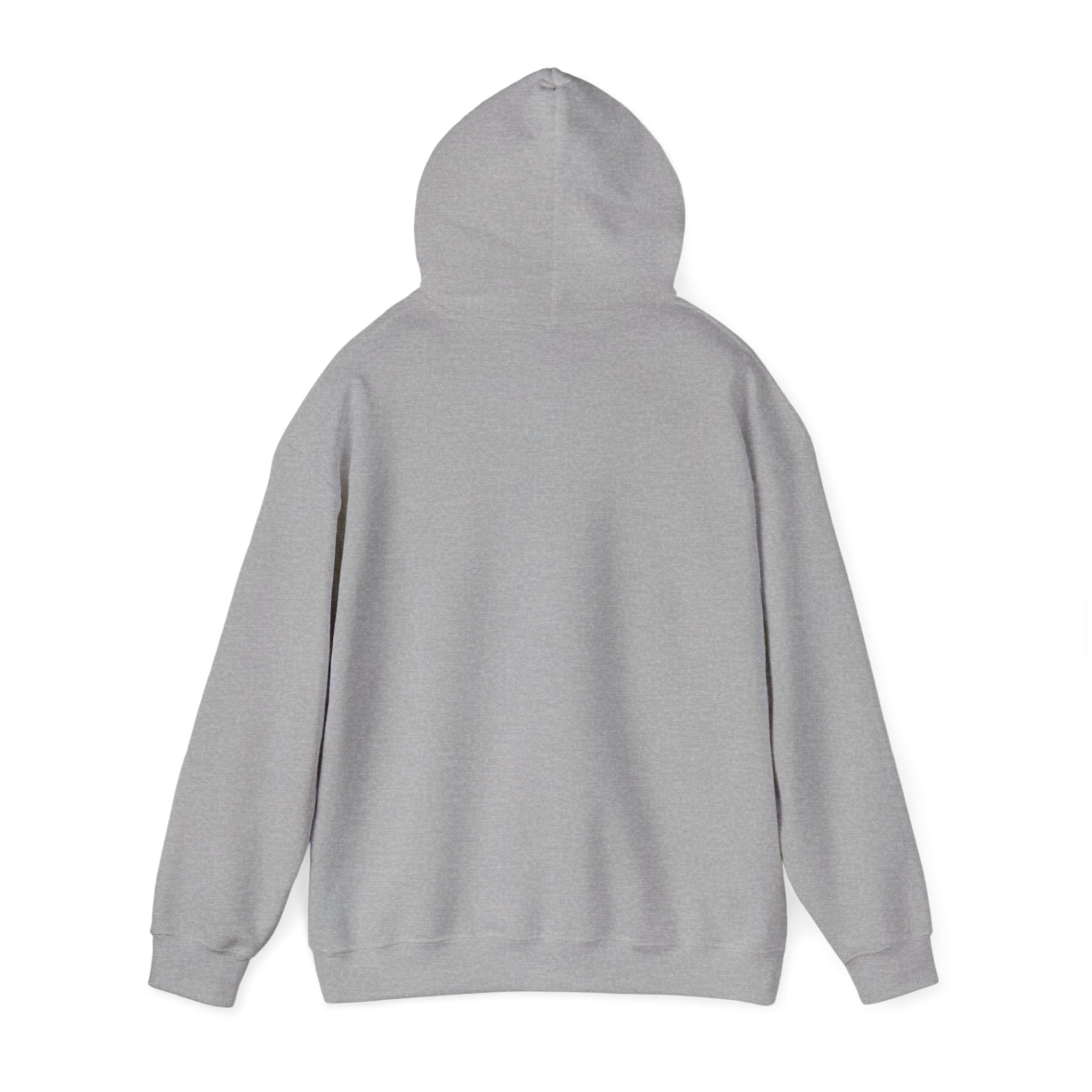 Certified Silly Goose Hoodie | silly humor, wholesome meme
