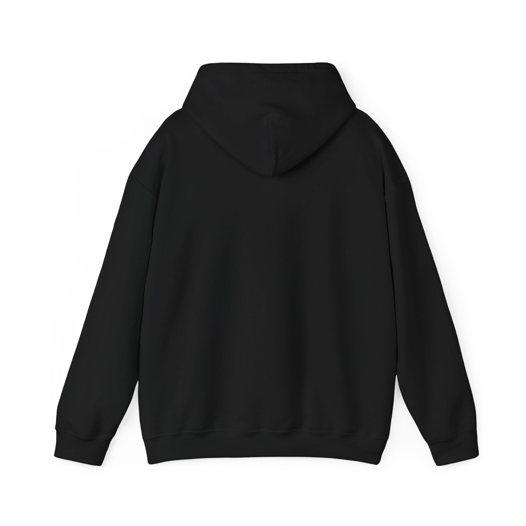Certified Silly Goose Hoodie | silly humor, wholesome meme